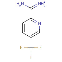 175277-48-2 5-TRIFLUOROMETHYL-PYRIDINE-2-CARBOXAMIDINE HCL chemical structure