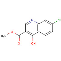 16600-22-9 7-CHLORO-4-HYDROXY-QUINOLINE-3-CARBOXYLIC ACID METHYL ESTER chemical structure