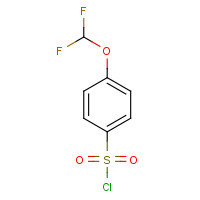 351003-34-4 4-(Difluoromethoxy)benzenesulfonyl chloride chemical structure