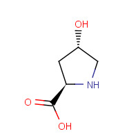 3398-22-9 trans-4-Hydroxy-D-Proline chemical structure