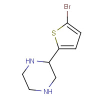 111760-29-3 2-(5-BROMOTHIOPHEN-2-YL)PIPERAZINE chemical structure