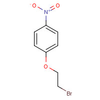 13288-06-7 1-(2-Bromoethoxy)-4-nitrobenzene chemical structure