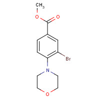 1131622-56-4 methyl 3-bromo-4-morpholinobenzoate chemical structure