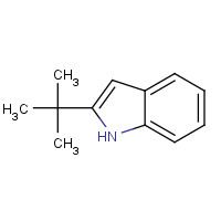 1805-65-8 2-TERT-BUTYL-1H-INDOLE chemical structure