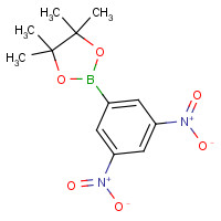 428820-95-5 2-(3,5-Dinitrophenyl)-4,4,5,5-tetramethyl-1,3,2-dioxaborolane chemical structure