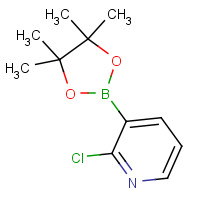 452972-11-1 2-CHLORO-3-(4,4,5,5-TETRAMETHYL-[1,3,2]DIOXABOROLAN-2-YL)-PYRIDINE chemical structure