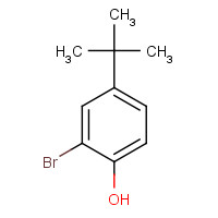 2198-66-5 2-BROMO-4-TERT-BUTYLPHENOL chemical structure