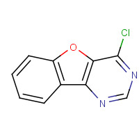 39876-88-5 4-CHLORO-BENZO[4,5]FURO[3,2-D]PYRIMIDINE chemical structure