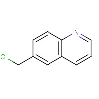 2644-82-8 6-CHLOROMETHYLQUINOLINE chemical structure