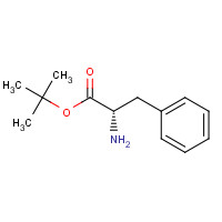 16874-17-2 H-Phe-OtBu chemical structure