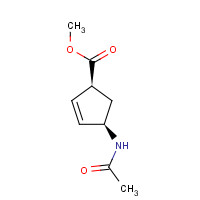 61865-49-4 (1R,4S)-rel-4-(Acetylamino)-2-cyclopentene-1-carboxylic Acid Methyl Ester chemical structure