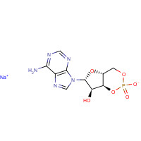 37839-81-9 Adenosine-3',5'-cyclic Monophosphate Sodium Salt chemical structure