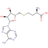 979-92-0 S-(5'-Adenosyl)-L-homocysteine chemical structure