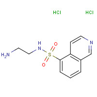 116700-36-8 N-(2-Aminoethyl)-5-isoquinolinesulfonamide Dihydrochloride chemical structure
