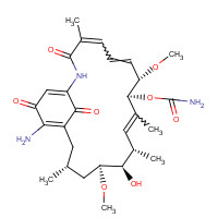 64202-81-9 17-Amino Geldanamycin chemical structure