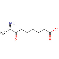 177408-65-0 8-Amino-7-oxopelargonic Acid Hydrochloride chemical structure