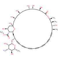 36148-89-7 Amphotericin B Methyl Ester 90% chemical structure