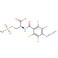 352000-06-7 4-Azido-2,3,5,6-tetrafluorobenzamido-L-cysteine Methanethiosulfonate chemical structure