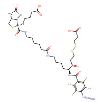 1356841-73-0 2-[N2-(4-Azido-2,3,5,6-tetrafluorobenzoyl)-N6-(6-biotinamidocaproyl)-L-lysinyl]ethyl 2-Carboxyethyl Disulfide chemical structure