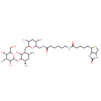 419573-19-6 Biotinamidocaproate Tobramycin Amide chemical structure
