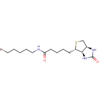 1217605-72-5 Biotin 5-Bromopentylamide chemical structure