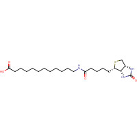135447-73-3 N-Biotinyl-12-aminododecanoic Acid chemical structure
