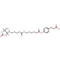 83592-10-3 3-(4-(N-Biotinoyl-6-aminocaproyloxy)phenyl)propionic Acid chemical structure