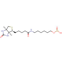 224583-35-1 6-N-Biotinylaminohexyl Hydrogenphosphonate chemical structure