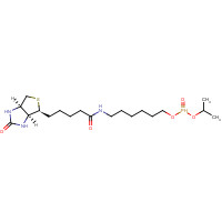 224583-37-3 6-N-Biotinylaminohexyl Isopropyl Hydrogenphosphonate chemical structure
