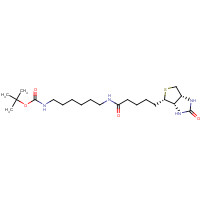 153162-70-0 N-Biotinyl-N'-Boc-1,6-hexanediamine chemical structure