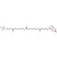 1038749-81-3 N-Biotinylcaproylaminocaproylaminoethyl Methanethiosulfonate chemical structure