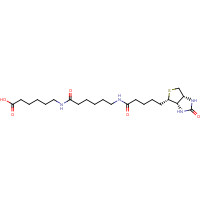 89889-51-0 N-Biotinylcaproylaminocaproic Acid chemical structure