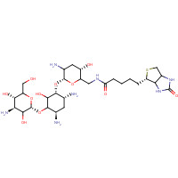419573-18-5 Biotinyl Tobramycin Amide chemical structure