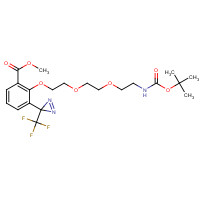 165963-73-5 2-[2-[2-(2-t-Boc-aminoethoxy]ethoxy]ethoxy]-4-[3-(trifluoromethyl)-3H-diazirin-3-yl]benzoic Acid Methyl Ester chemical structure