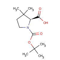 174060-98-1 Boc-(2S)-3,3-dimethyl-2-pyrrolidenecarboxylic Acid chemical structure
