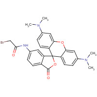 166442-39-3 6-[Bromoacetamido]tetramethyl Rhodamine chemical structure