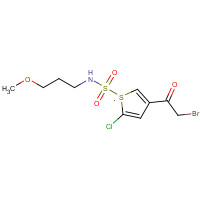 1174304-97-2 3-(2-Bromoacetyl)-5-chloro-N-(3-methoxypropyl)-2-thiophenesulfonamide chemical structure