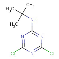 27282-85-5 2-(tert-Butylamino)-4,6-dichloro-1,3,5-triazine chemical structure