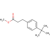 1211-99-0 3-(4-tert-Butylbenzene)propionic Acid,Methyl Ester chemical structure