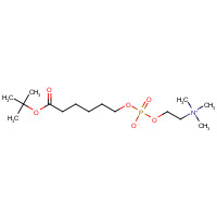 73839-23-3 tert-Butyl 6-(O-Phosphorylcholine)hydroxyhexanoate chemical structure