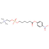 73785-43-0 6-Carboxyhexylphosphocholine p-Nitrophenyl Ester chemical structure