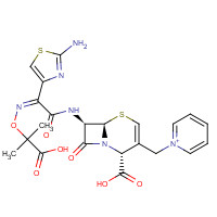 217796-42-4 ?2-Ceftazidime chemical structure