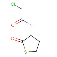 84611-22-3 N-Chloroacetyl DL-Homocysteine Thiolactone chemical structure
