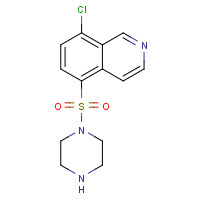 355115-40-1 1-(8-Chloro-5-isoquinolinesulfonyl)piperazine Dihydrochloride chemical structure