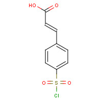 17641-30-4 4-Chlorosulfonylcinnamic Acid chemical structure