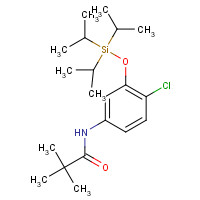 342621-20-9 N-[4-Chloro-3-(triisopropylsilyloxy)phenyl]-2,2-dimethylpropanamide chemical structure