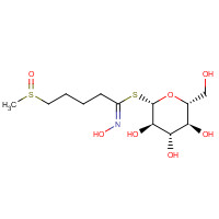 287966-62-5 Desulfo Glucoraphanin chemical structure