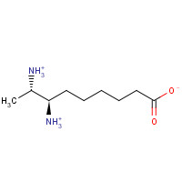951786-35-9 7,8-Diaminopelargonic Acid Dihydrochloride chemical structure