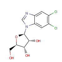 53-85-0 5,6-Dichloropurine-1-b-D-ribofuanosyl-H-benzimidazole chemical structure