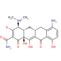 95940-02-6 7-Didemethyl Minocycline Dihydrochloride (>85% by HPLC) chemical structure
